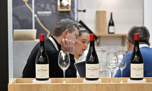 Bodegas de Mendoza, San Juan y Salta exhibirán la excelencia argentina en París.