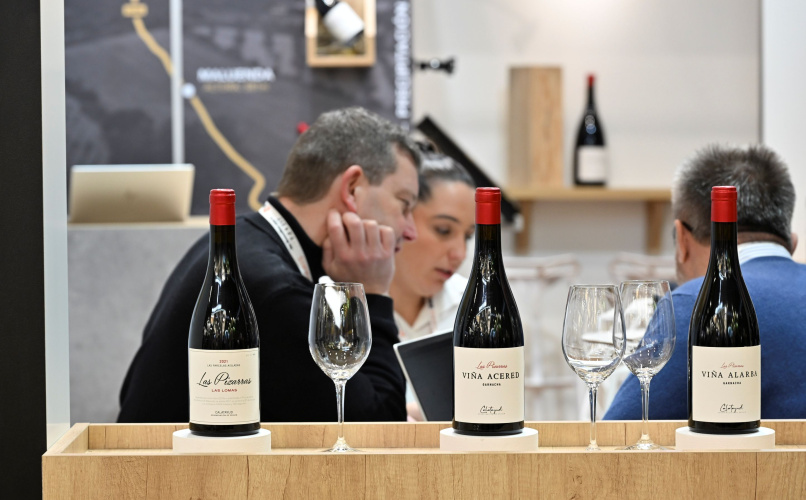 Bodegas de Mendoza, San Juan y Salta exhibirán la excelencia argentina en París.