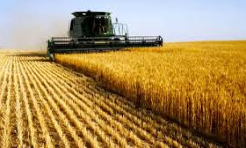 Las exportaciones de trigo se duplicaron en comparación interanual.