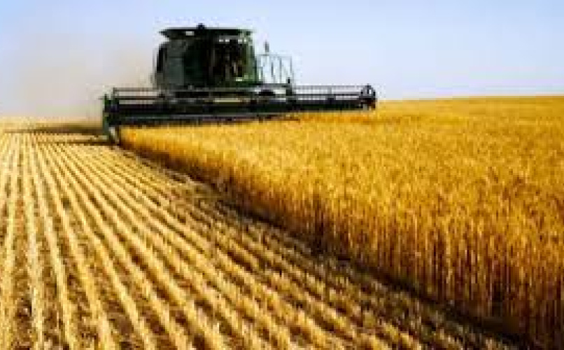 Las exportaciones de trigo se duplicaron en comparación interanual.